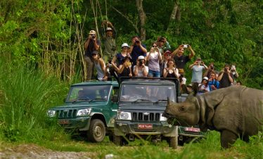 Chitwan Jungle Safari