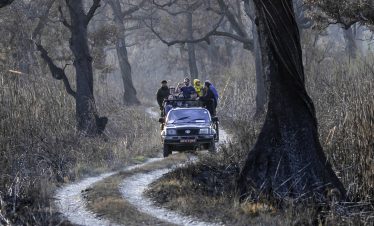 Bardia Wildlife Safari Tour